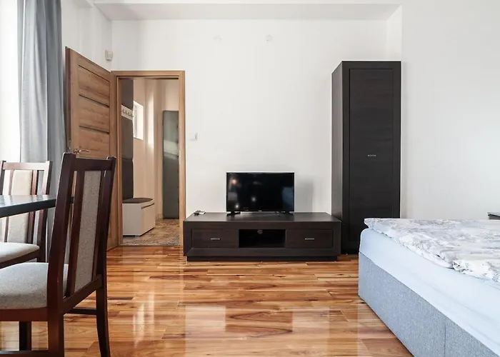 Apartament No10 ,cozy In